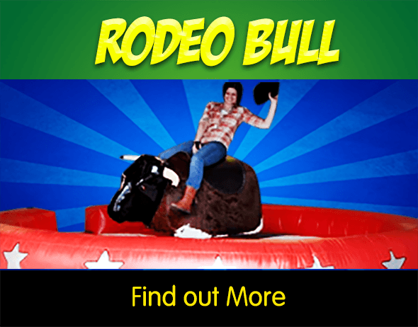 Rodeo Bull Hire!